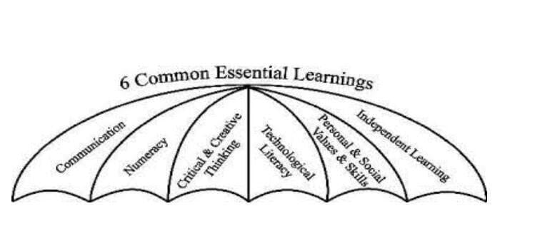 Essential learnings