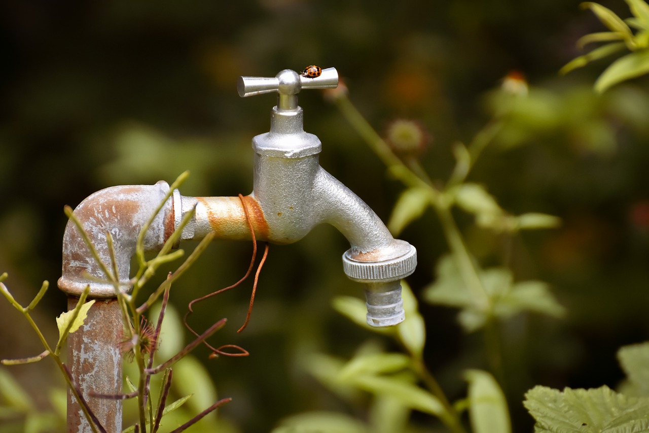 National Centre for Excellence - Water Conservation