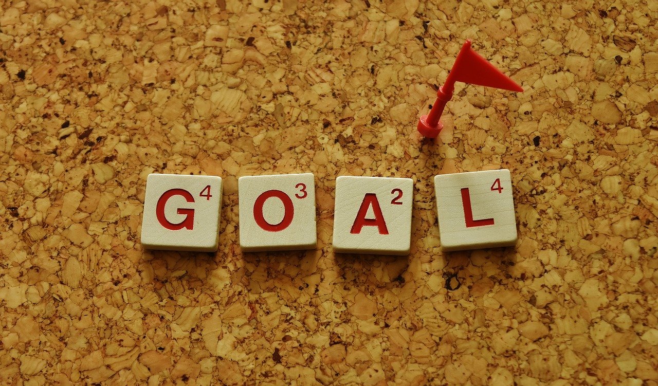 National Centre for Excellence - Goals for the Year
